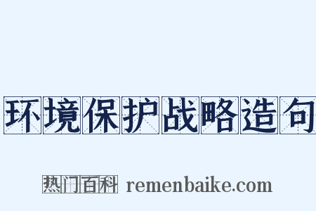 环境保护战略造句是什么意思的图片